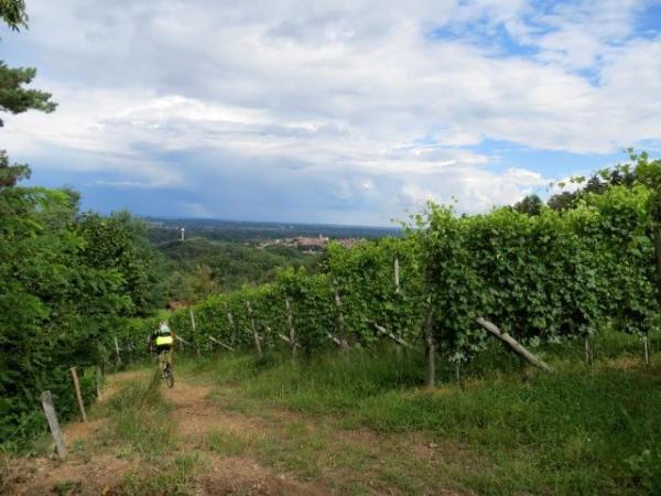 parco naturale monte Fenera